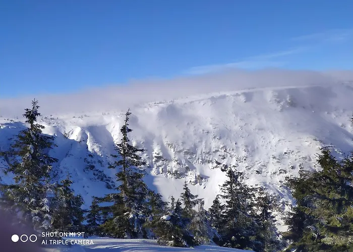 Apartment Forest Karpacz